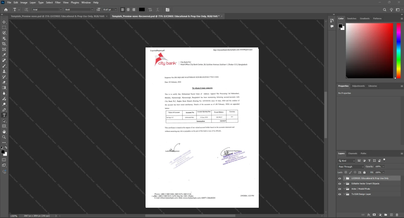 Bangladesh City Bank PLC Bank Statement Template, Easily modifiable Word and PDF format