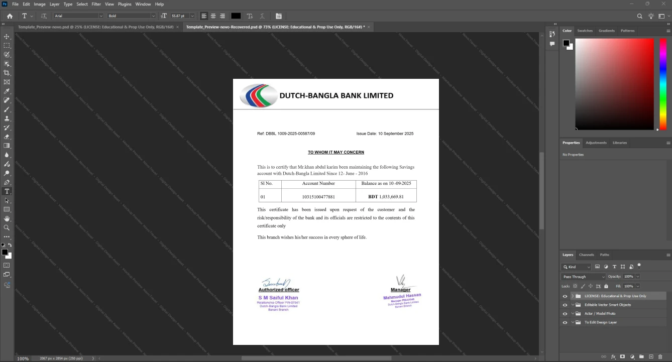 Bangladesh DutchBangla Bank Limited Bank Statement Template, Digital download template in Word and PDF