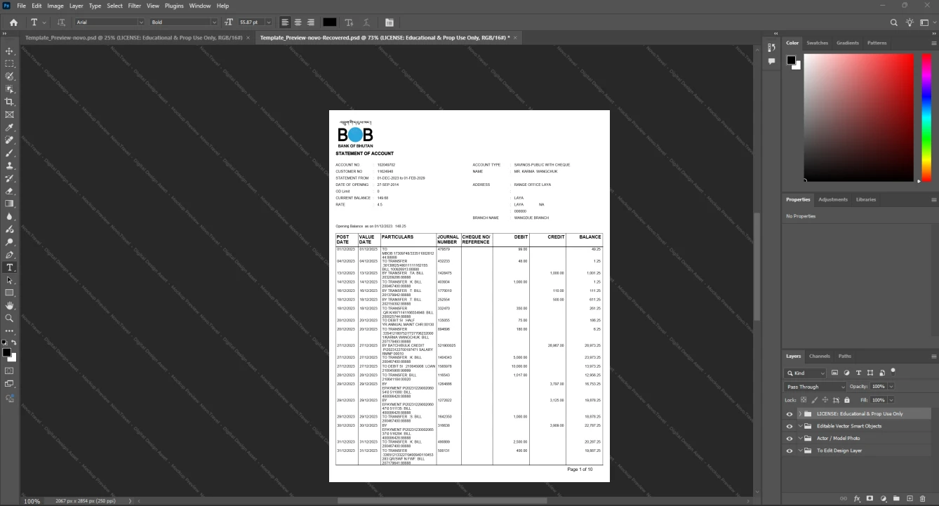 Bhutan Bhutan National Bank Bank Statement Template, Ready to use template in Word and PDF
