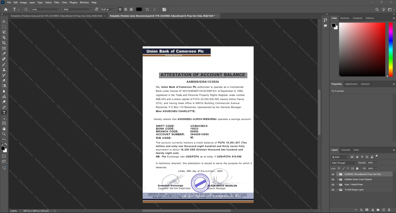 Cameroon Union Bank of Cameroon Plc Bank Statement Template, High-quality template in Word and PDF format