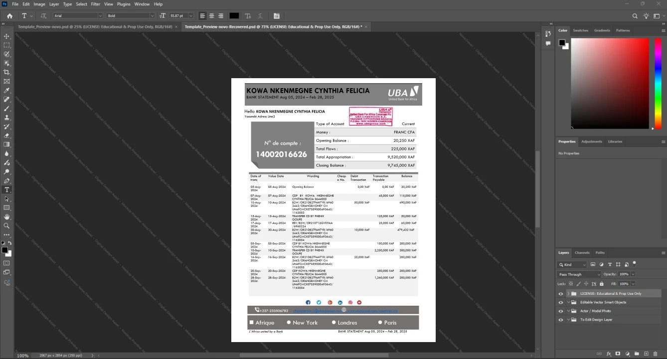 Cameroon United Bank for Africa Cameroon S A UBA Bank Statement Template, Blank template in Word and PDF format, Page 2