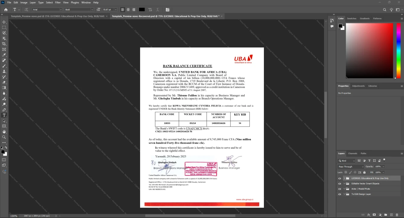 Cameroon United Bank for Africa Cameroon S A UBA Bank Statement Template, Digital download file preview
