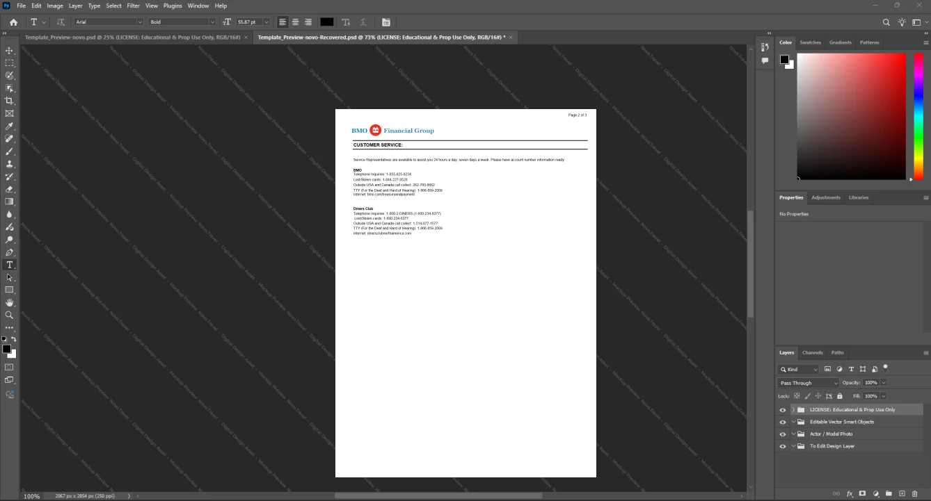 Canada Bank of Montreal BMO Bank Statement Template, Quick edit template in Word and PDF format, Page 2