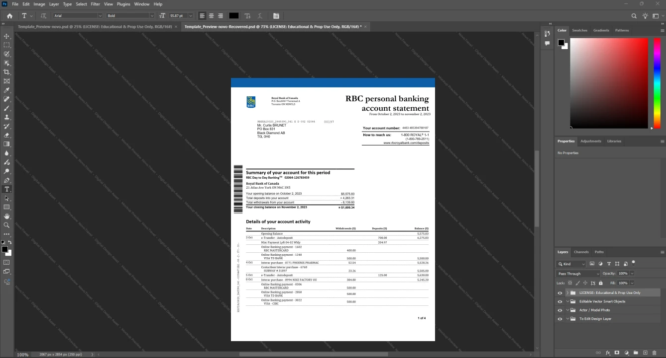 Canada Royal Bank of Canada RBC Bank Statement Template, printable document in Word and PDF format