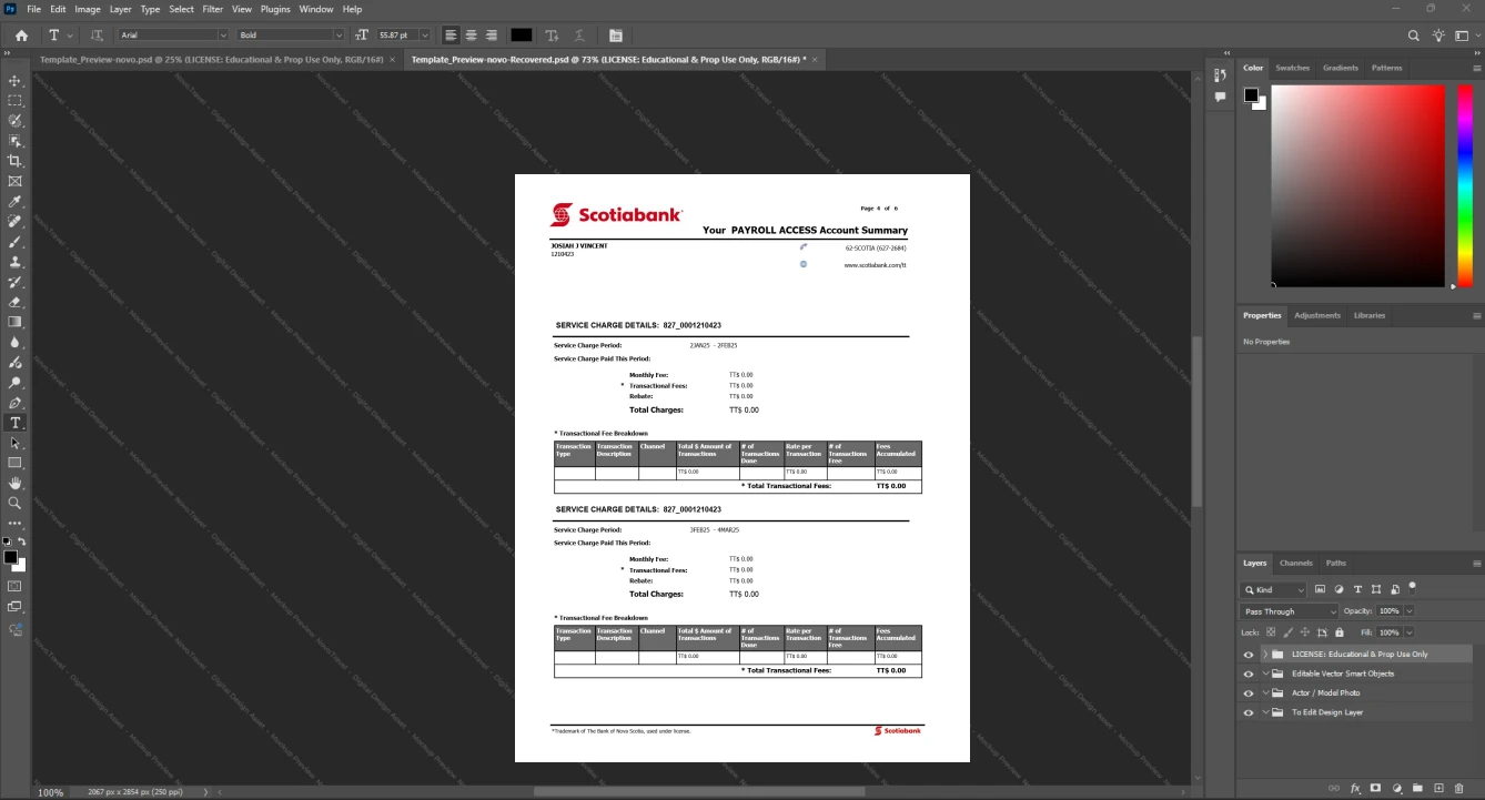 Canada Scotiabank Bank Statement Template, Quick edit digital asset in Word and PDF, Page 4