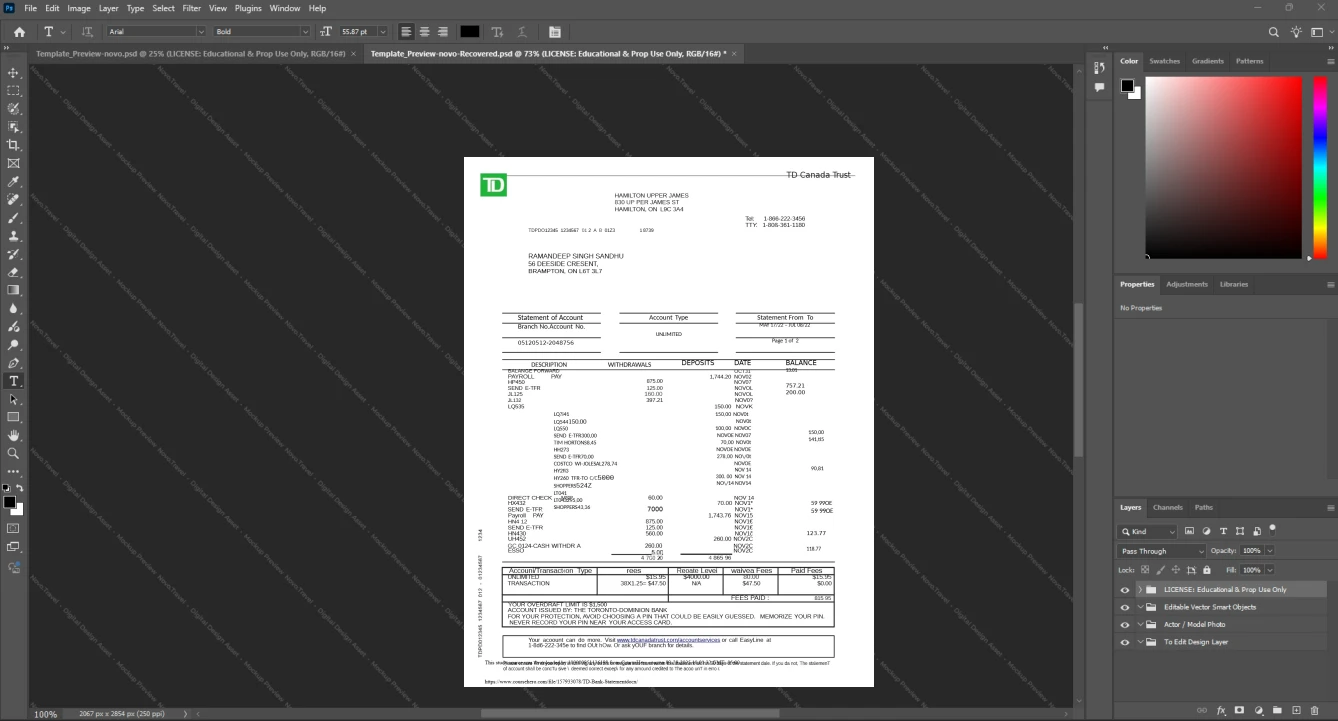Canada TD Canada Trust Bank Statement Template, Premium editable file in Word and PDF formats