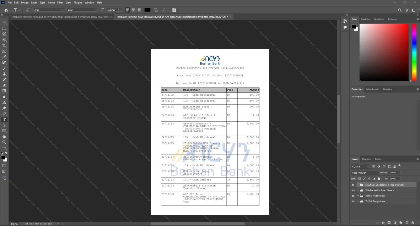 Ethiopia Berhan Bank Bank Statement Template, Clean typography design in Word and PDF format
