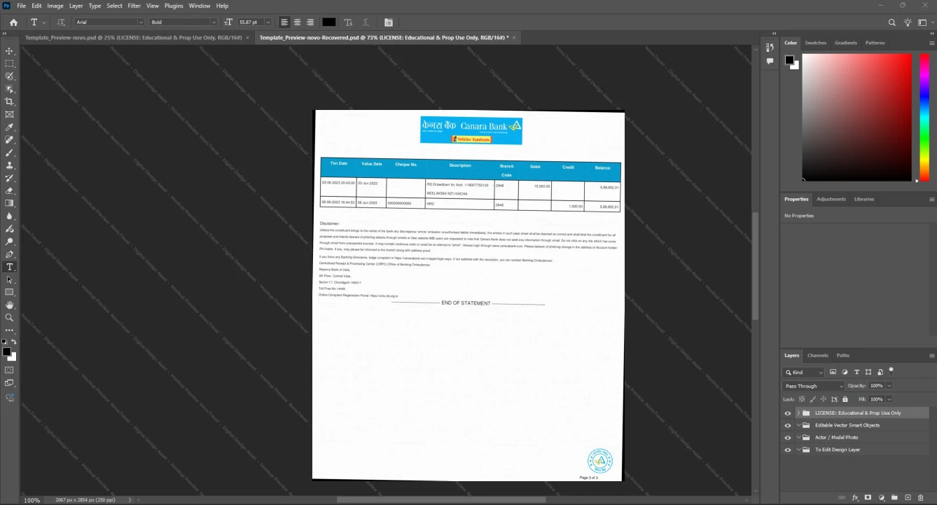 India Canara Bank Bank Statement Template, High-quality design in Word and PDF format, Page 3