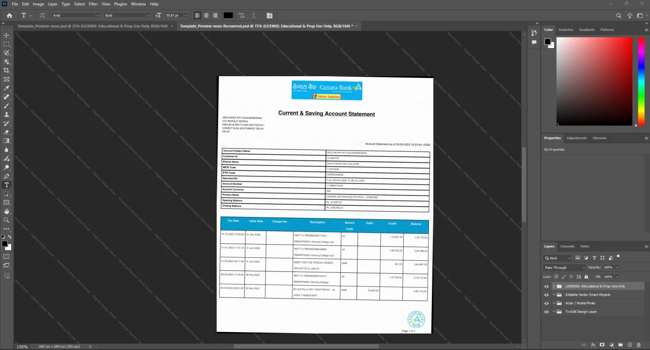 India Canara Bank Bank Statement Template, Clean typography design in Word and PDF format