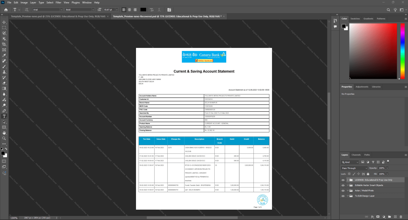 India Canara Bank Business Account Statement Template, Available in editable Word and PDF format