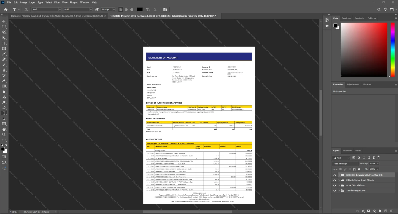 India DCB Bank Bank Statement Template, High-quality design in Word and PDF format