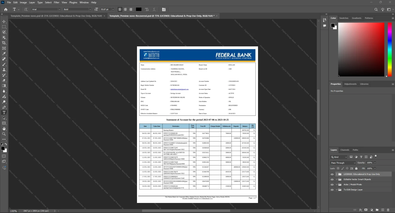 India Federal Bank Bank Statement Template, Available in editable Word and PDF format