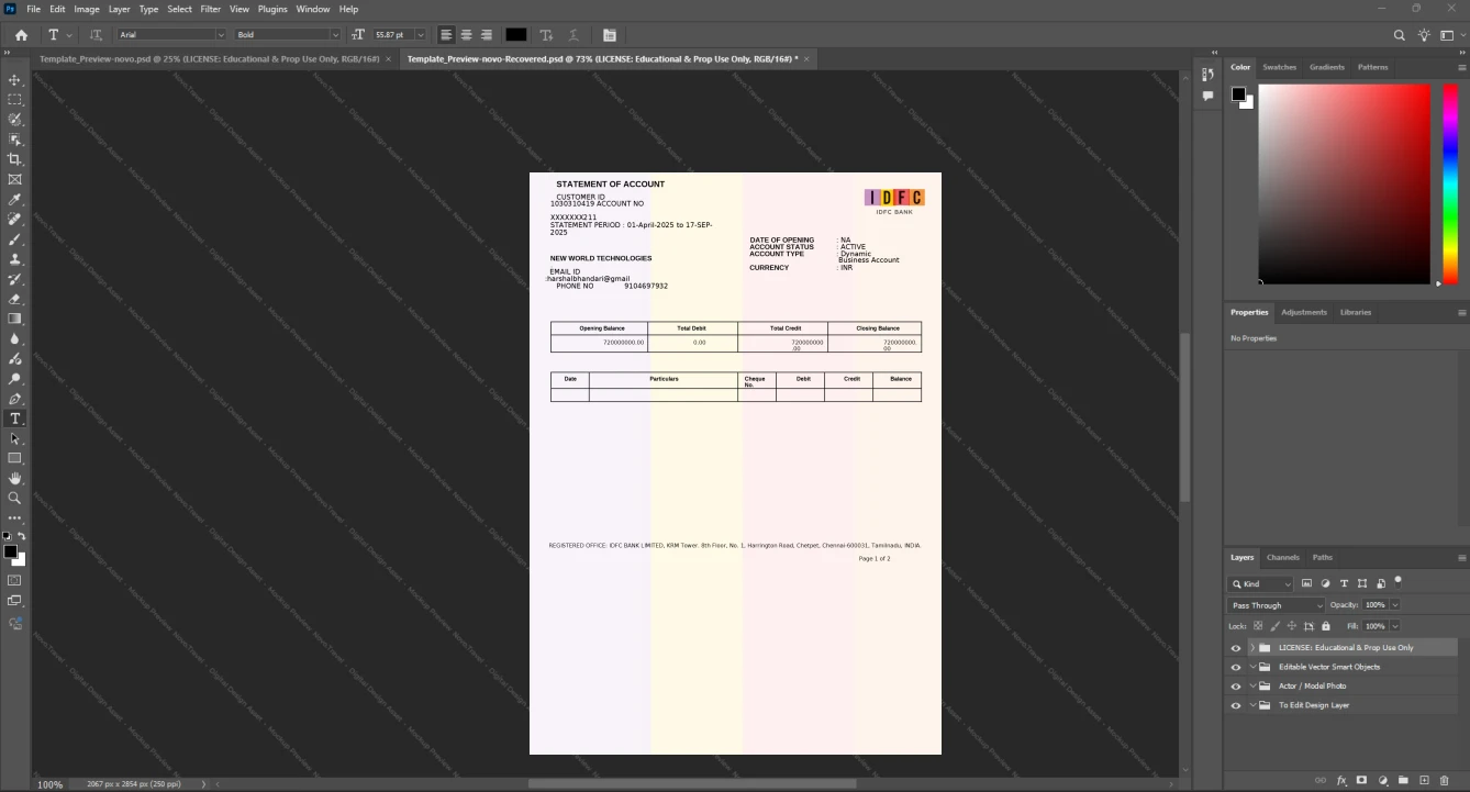 India IDFC Bank Business Account Statement Template, Fully structured template in Word and PDF format