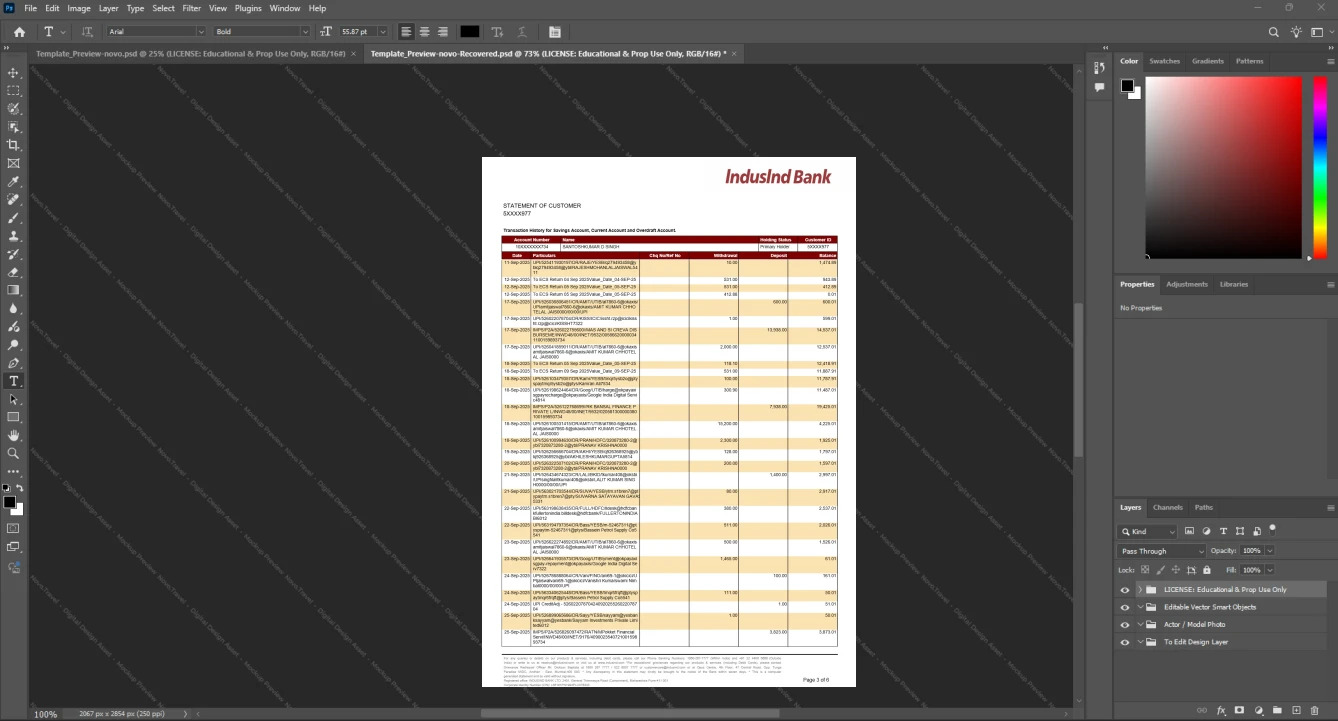 India IndusInd Bank Bank Statement Template, Digital download template in Word and PDF, Page 3