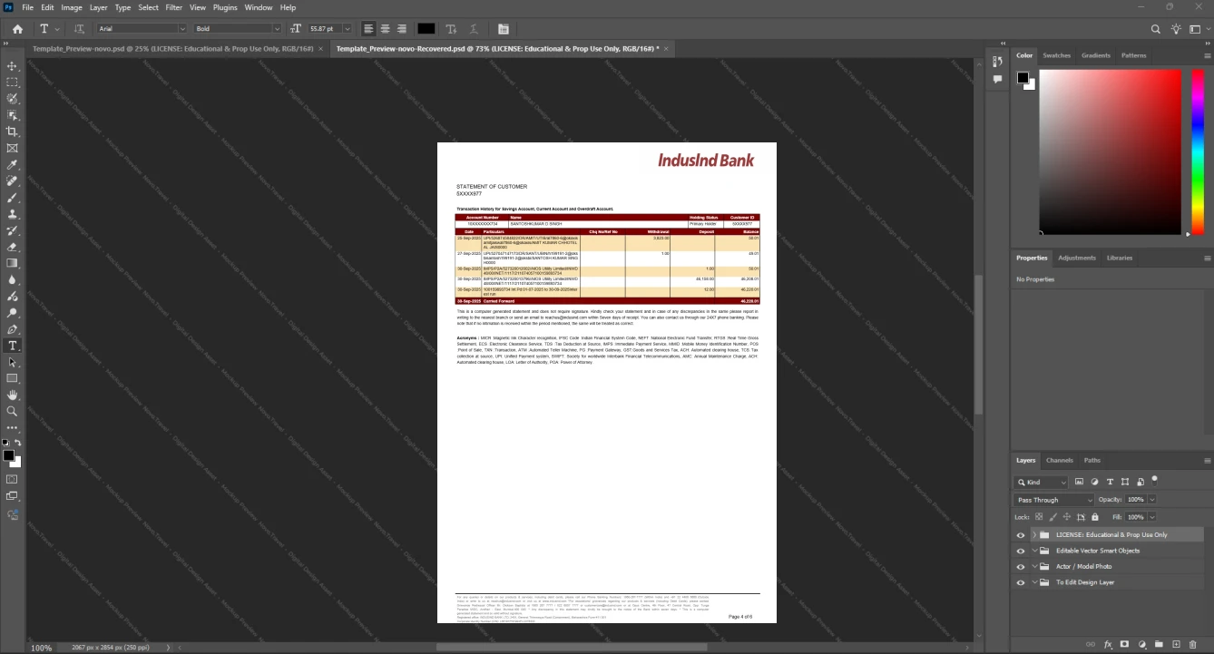 India IndusInd Bank Bank Statement Template, Premium editable file in Word and PDF formats, Page 4