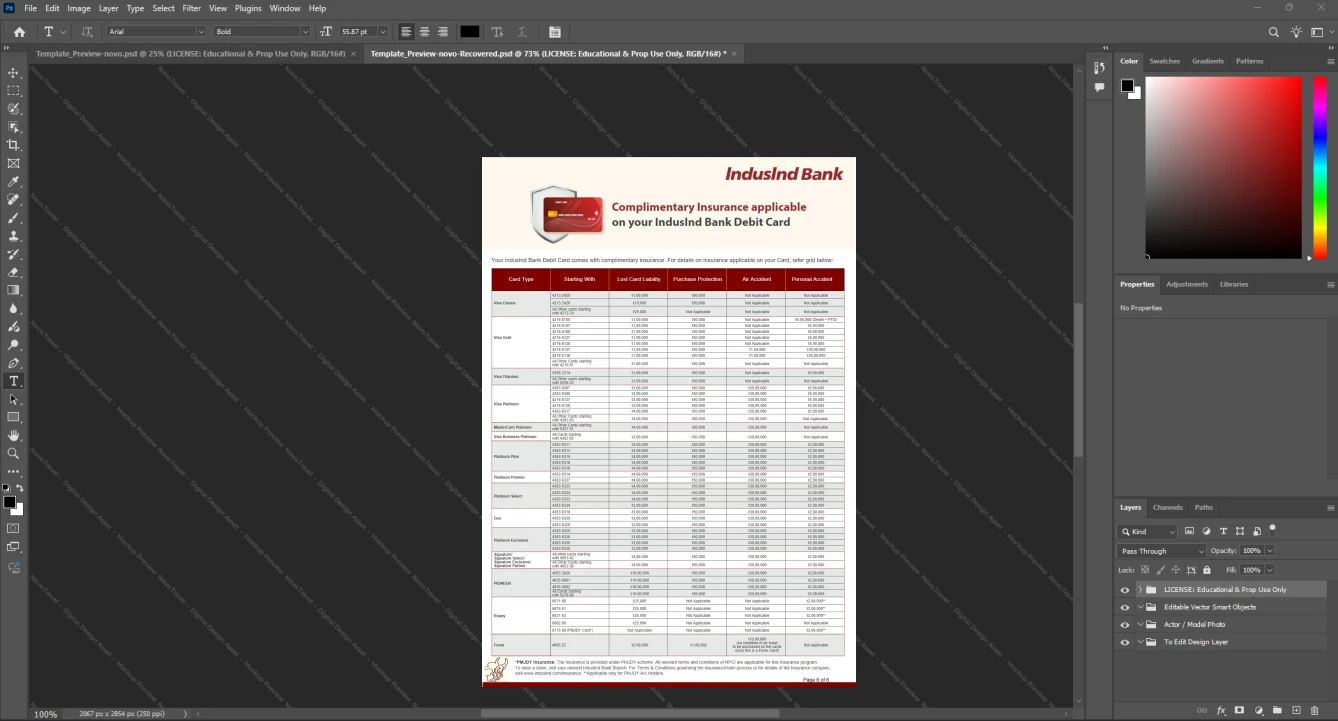 India IndusInd Bank Bank Statement Template, Digital download template in Word and PDF, Page 6