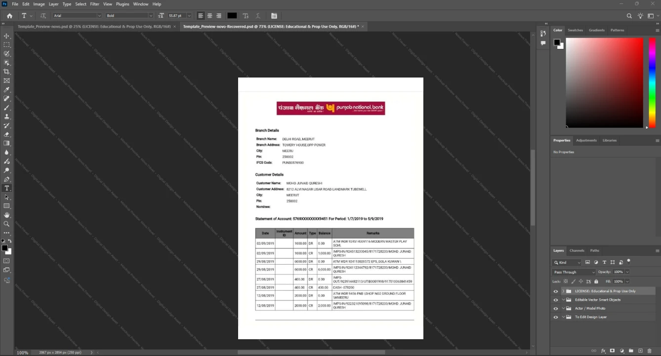 India Punjab National Bank Bank Statement Template, Fully editable Word and PDF format
