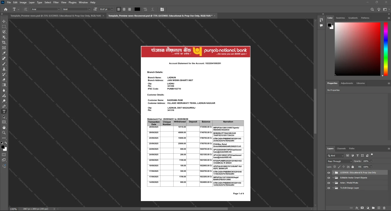 India Punjab National Bank Bank Statement Template, Digital download template in Word and PDF