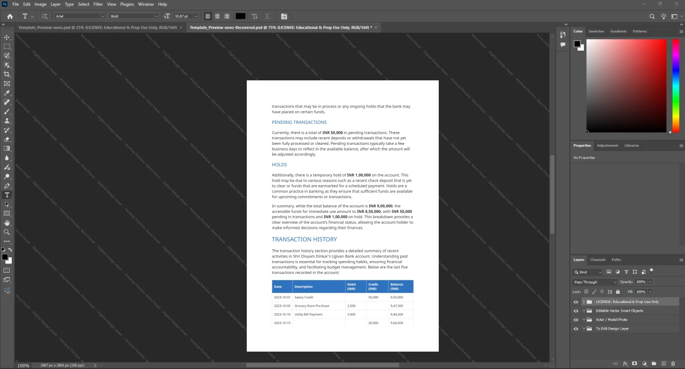 India Ujjivan Small Finance Bank Bank Statement Template, Premium editable file in Word and PDF formats, Page 4