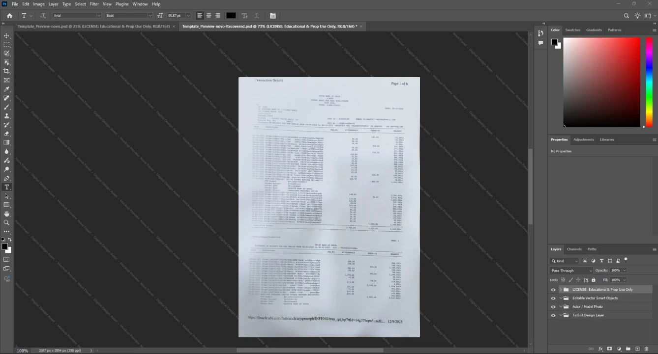 India Union Bank of India Bank Statement Template, Customizable document in Word and PDF format