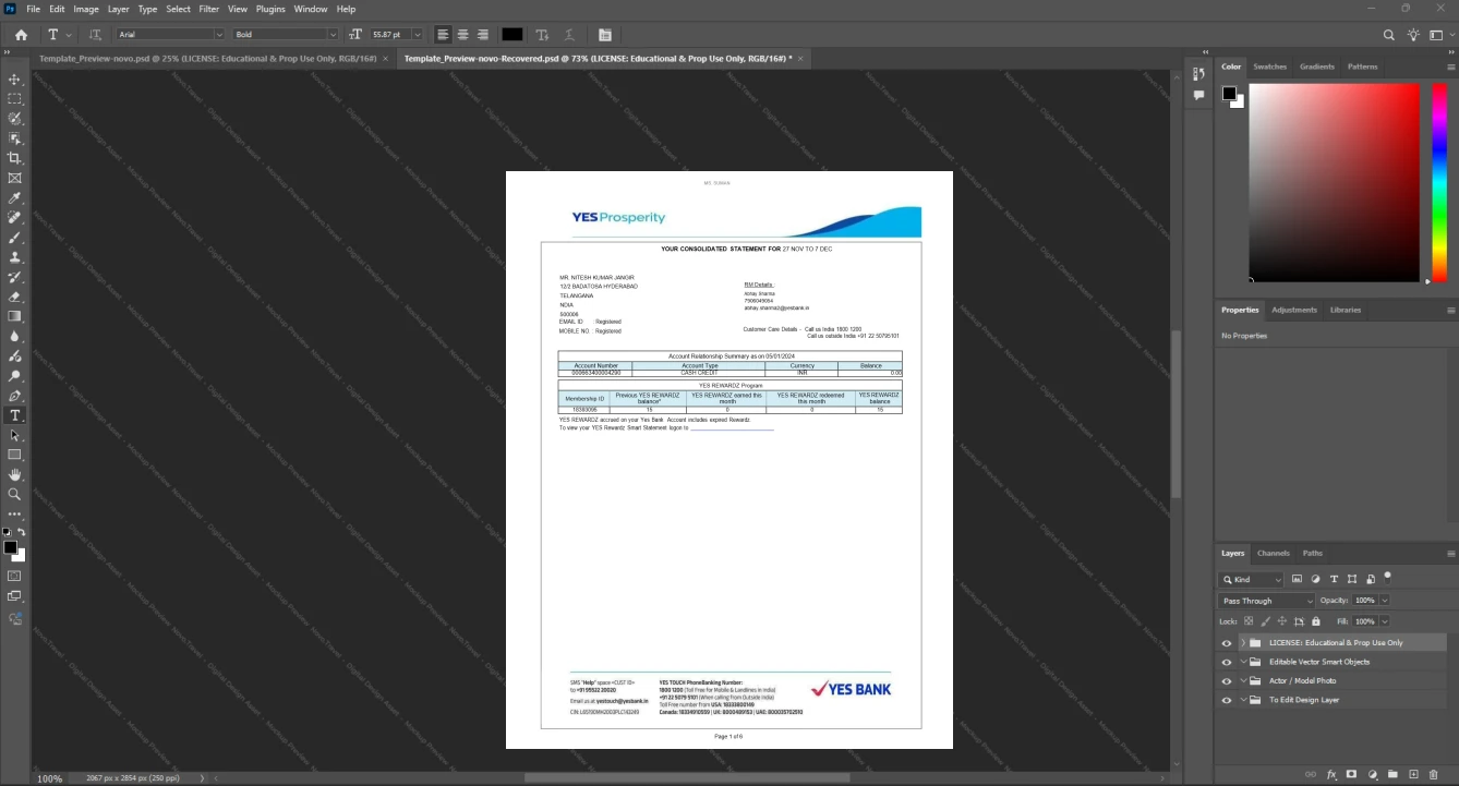 India Yes Bank Bank Statement Template, Digital download file preview