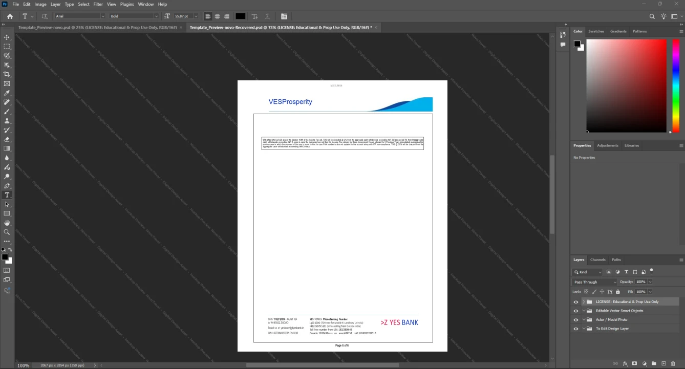 India Yes Bank Limited Bank Statement Template, Easily modifiable Word and PDF format, Page 6