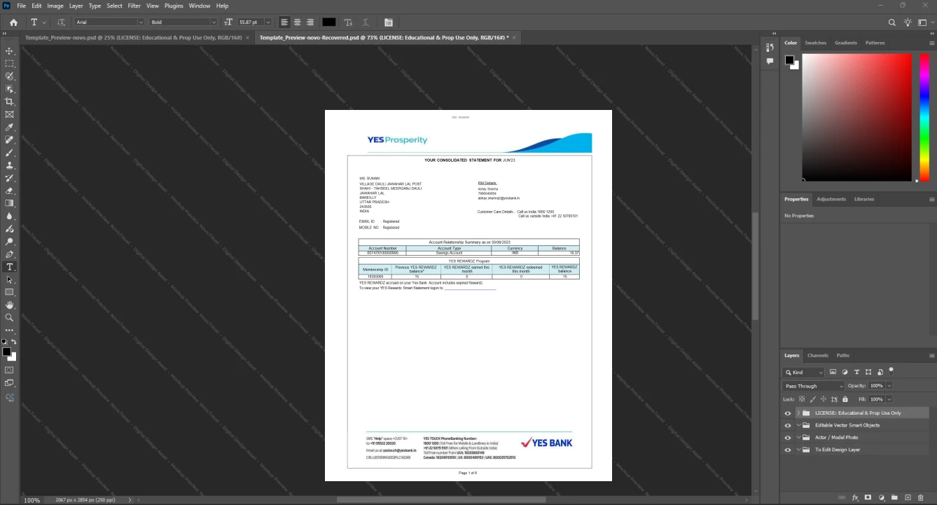 India Yes Bank Limited Bank Statement Template, Customizable layout available in Word and PDF