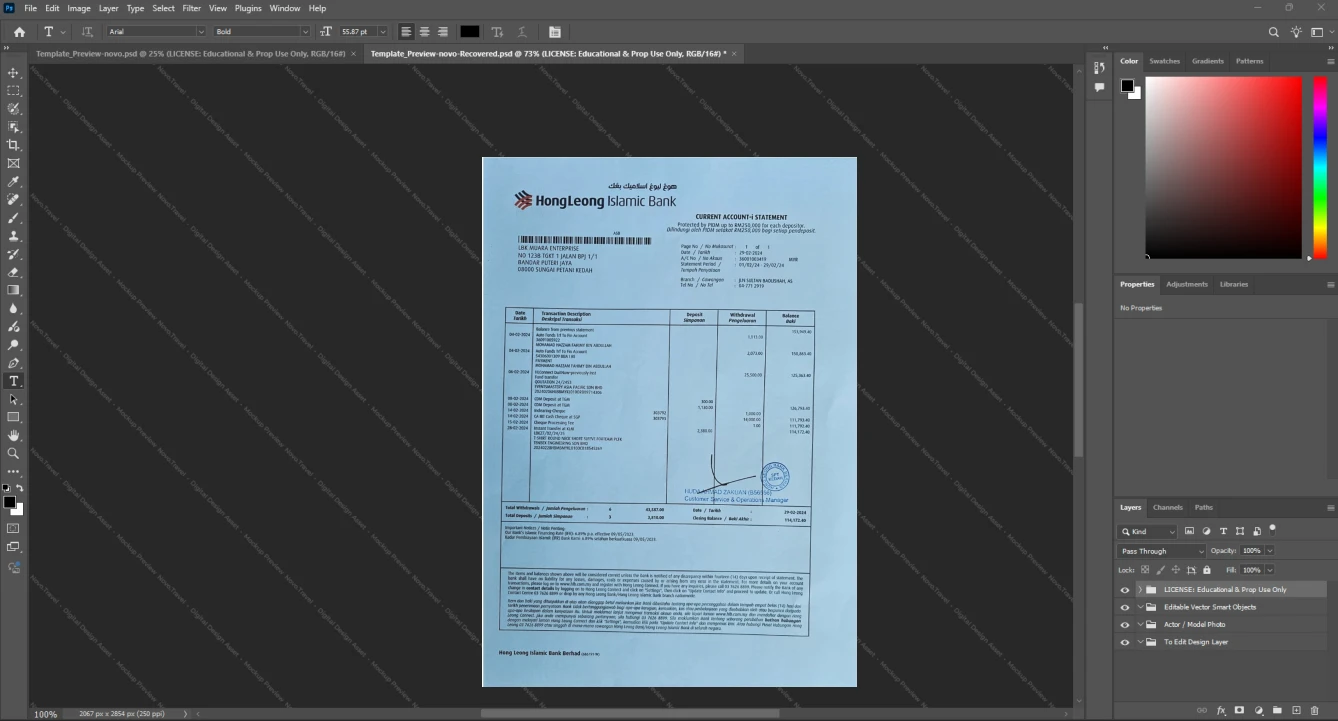 Malaysia Hong Leong Islamic Bank Bank Statement Template, Digital download file preview