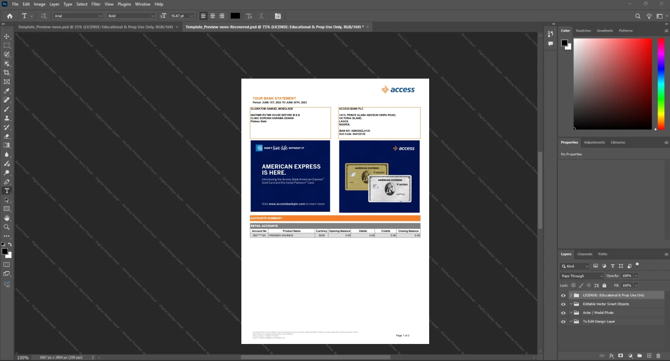 Nigeria Access Bank PLC Bank Statement Template, Clean typography design in Word and PDF format