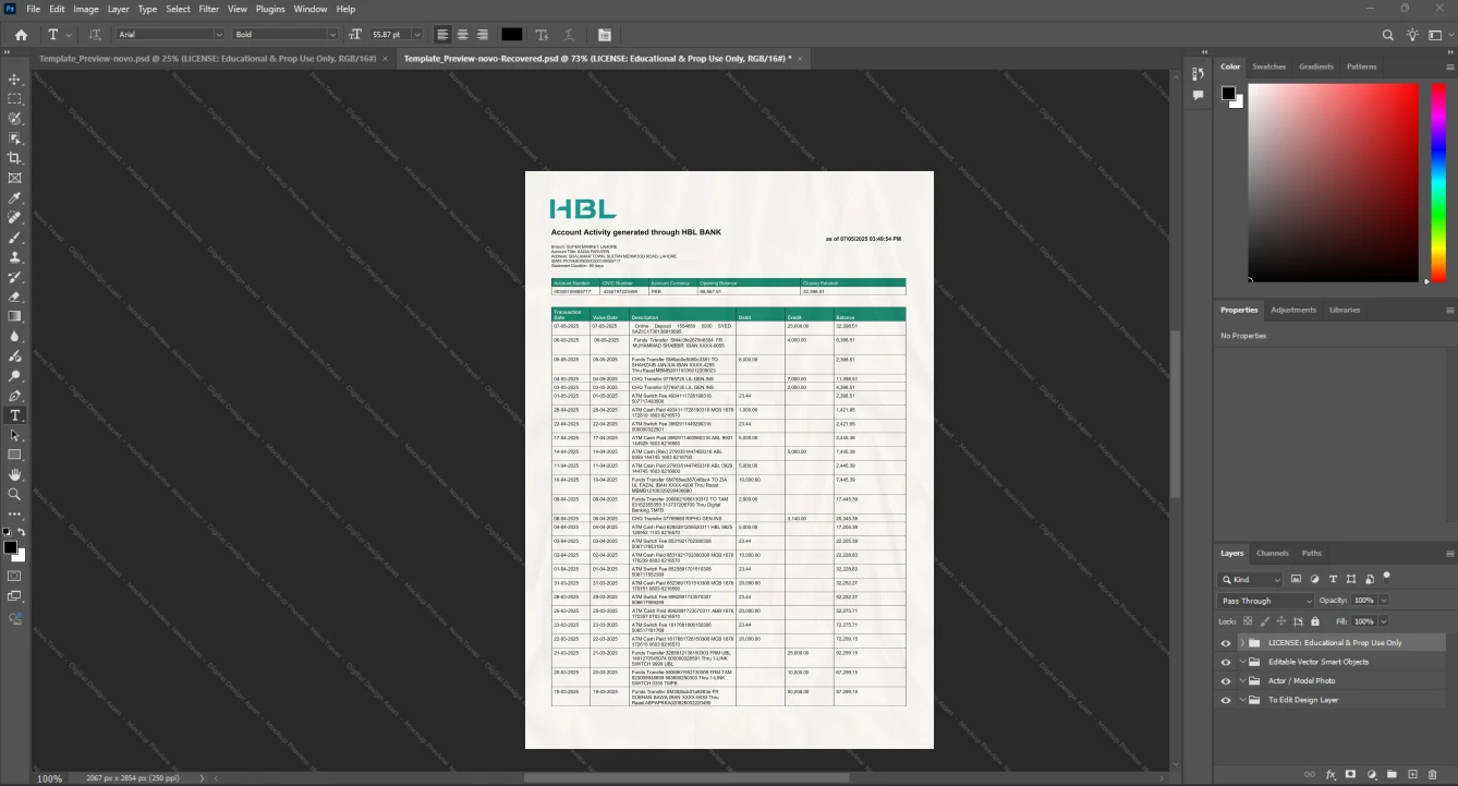 Pakistan Habib Bank Limited HBL Bank Statement Template, Standard printable layout in Word and PDF