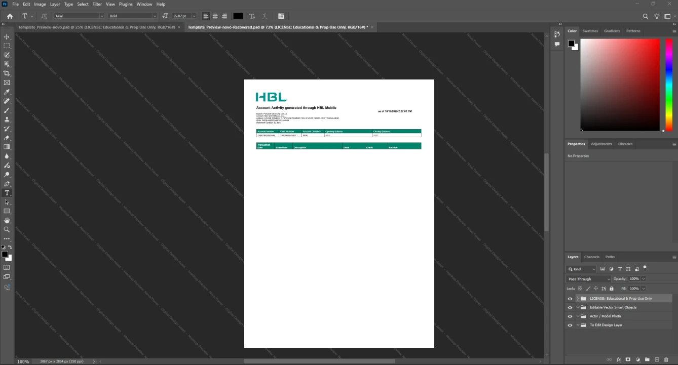 Pakistan Habib Bank Limited HBL Bank Statement Template, Blank template in Word and PDF format