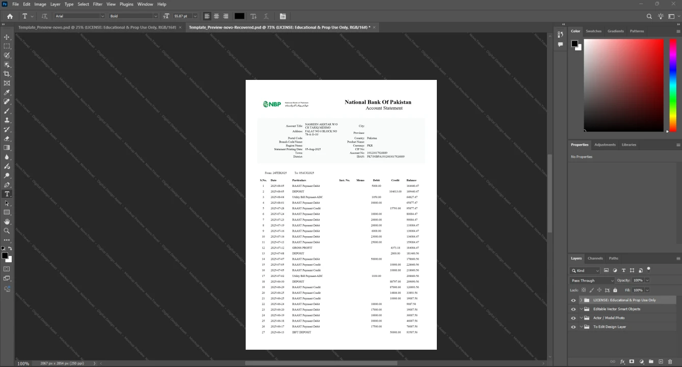 Pakistan National Bank of Pakistan Bank Statement Template, Clean typography design in Word and PDF format