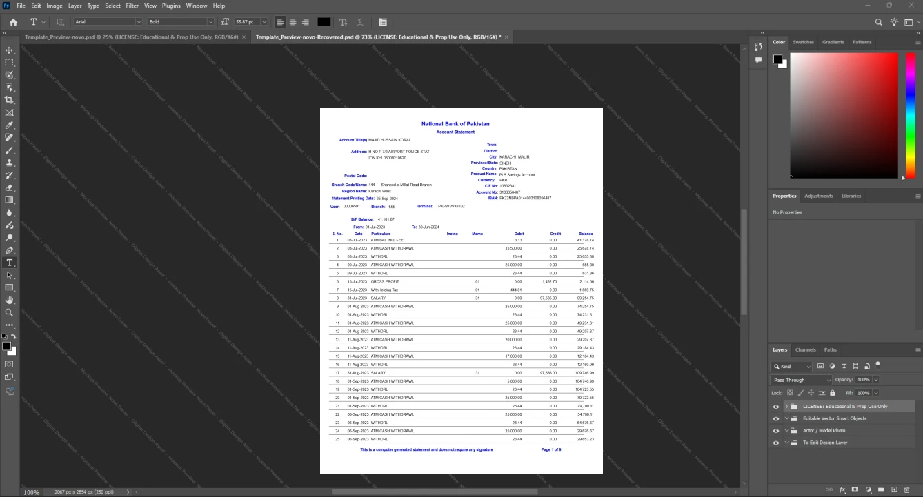 Pakistan National Bank of Pakistan Bank Statement Template, Premium editable file in Word and PDF formats