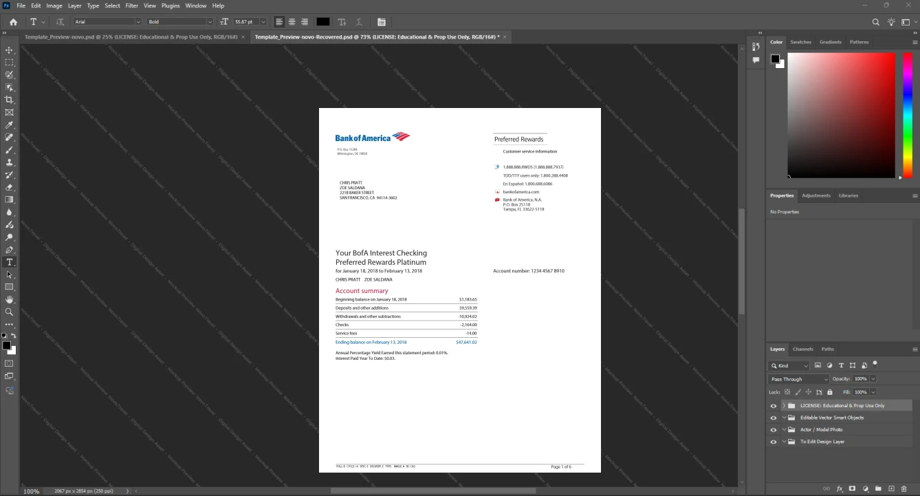 United States Bank of America BOA Bank Statement Template, Digital download file preview