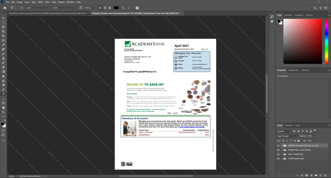 USA Academy Bank Bank Statement Template, High-quality template in Word and PDF format