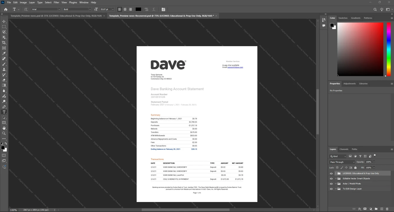 USA Dave Bank Statement Template, Premium editable file in Word and PDF formats