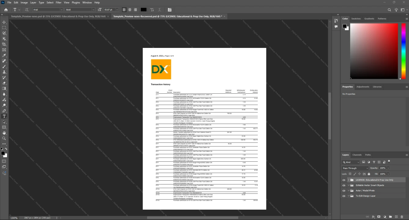 USA Direct Express Bank Statement Template, Digital download file preview, Page 2