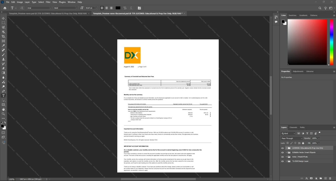 USA Direct Express Bank Statement Template, Print-ready template in Word and PDF, Page 7