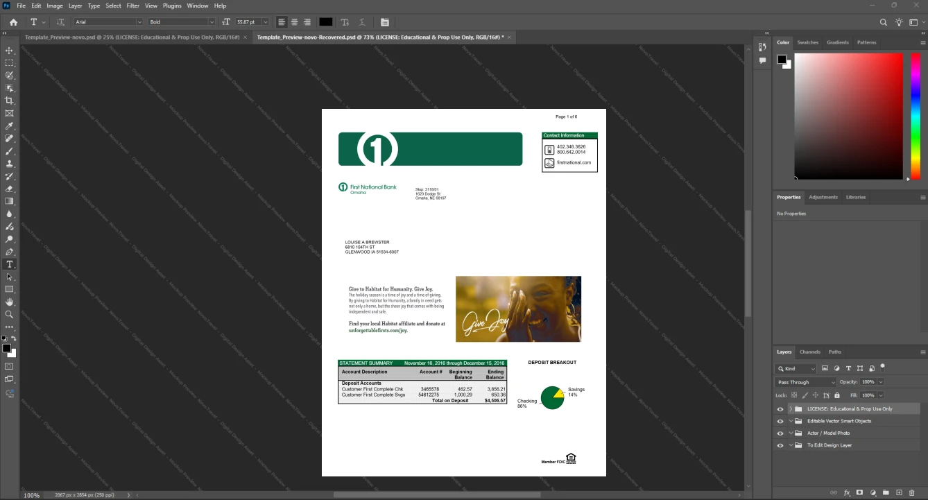 USA First National Bank Bank Statement Template, Ready to use template in Word and PDF
