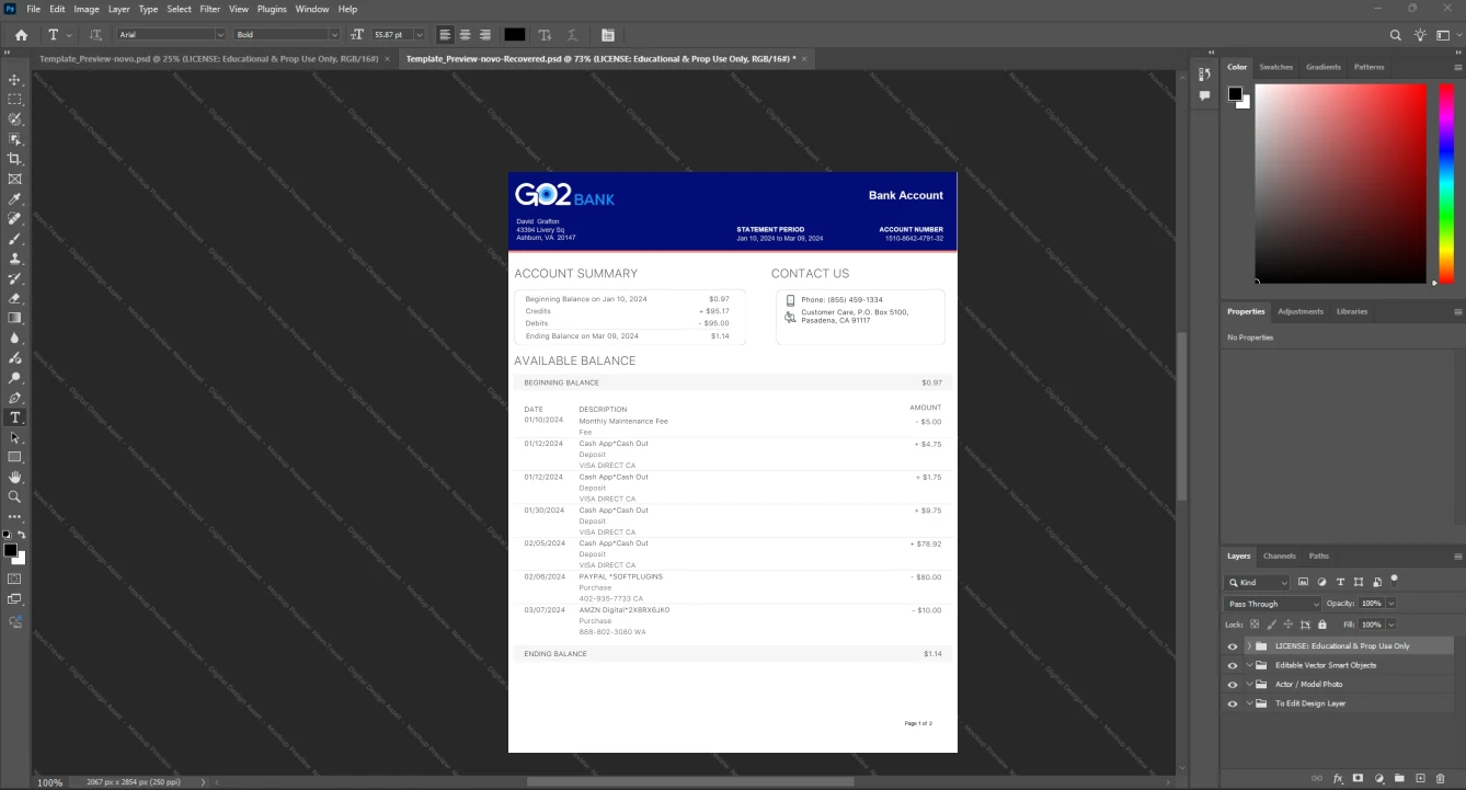 USA Go2Bank Bank Statement Template, High-quality template in Word and PDF format