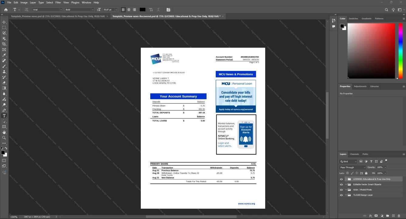 USA Municipal Credit Union MCU Bank Statement Template, Print-ready template in Word and PDF