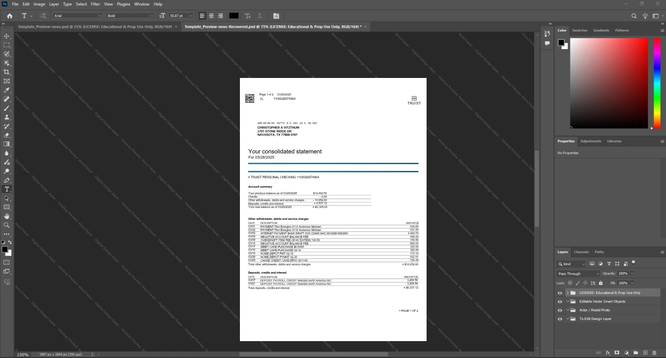 USA Truist Financial Corporation Bank Statement Template, Easily modifiable Word and PDF format