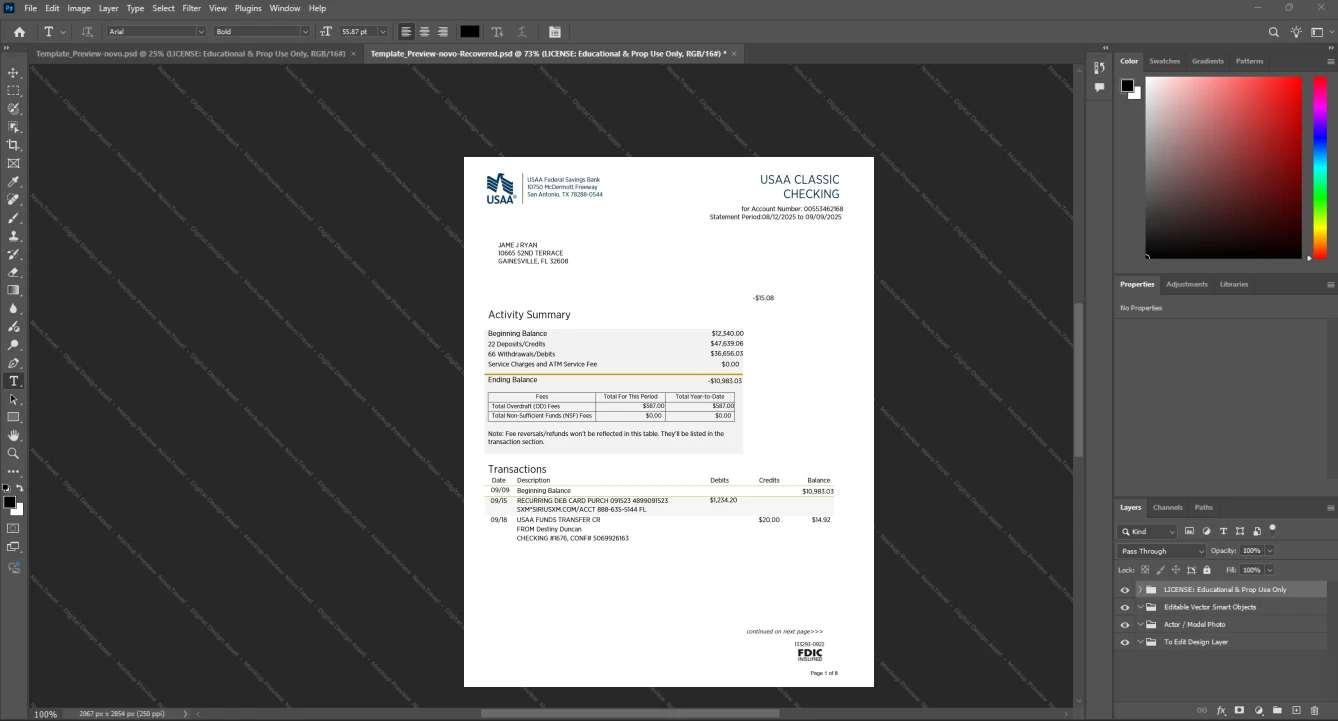 USA United Services Automobile Association USAA Bank Statement Template, High-quality template in Word and PDF format
