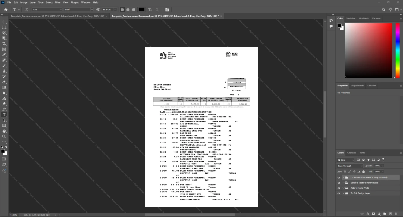 USA USAA USAA Bank Statement Template, Digital download file preview, Page 3